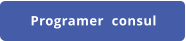 Programer  consul