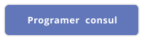 Programer  consul